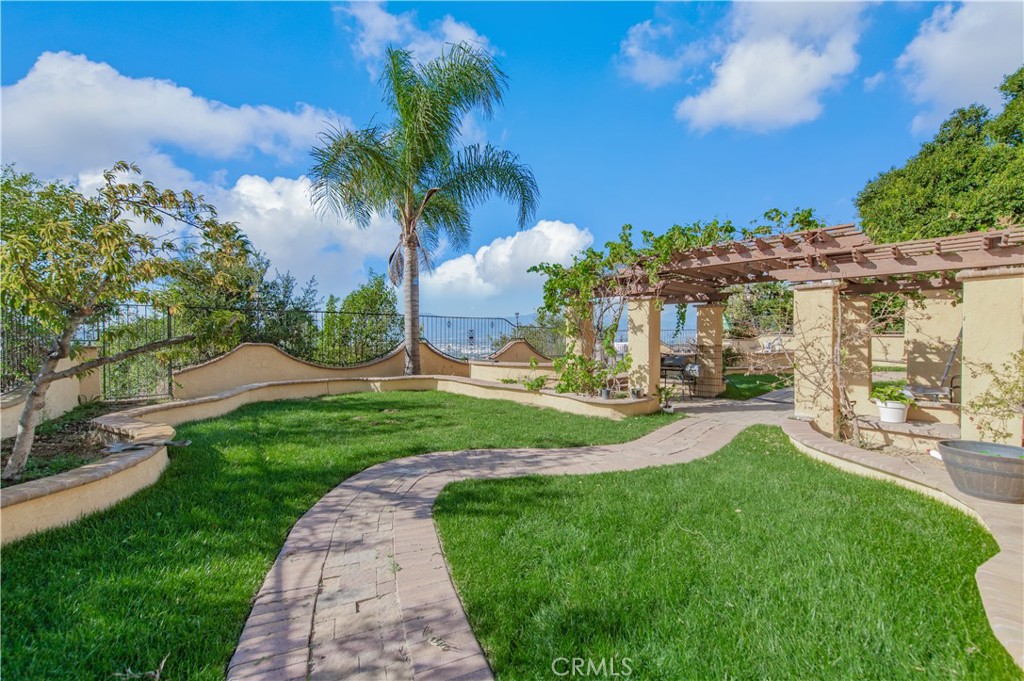 16419 Canarias — photo