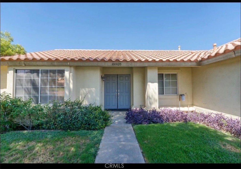 44435 Buttercup — photo