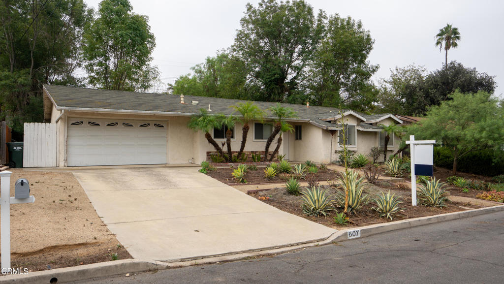 607 Calle Tulipan — photo