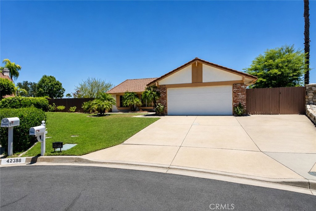 42375 Carino — photo