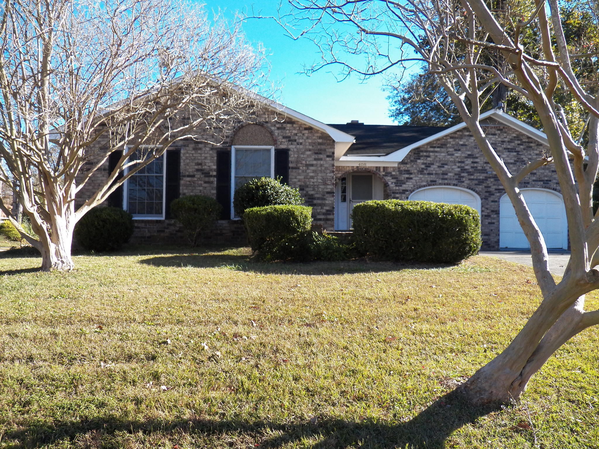 408 Bristlecone Drive — photo