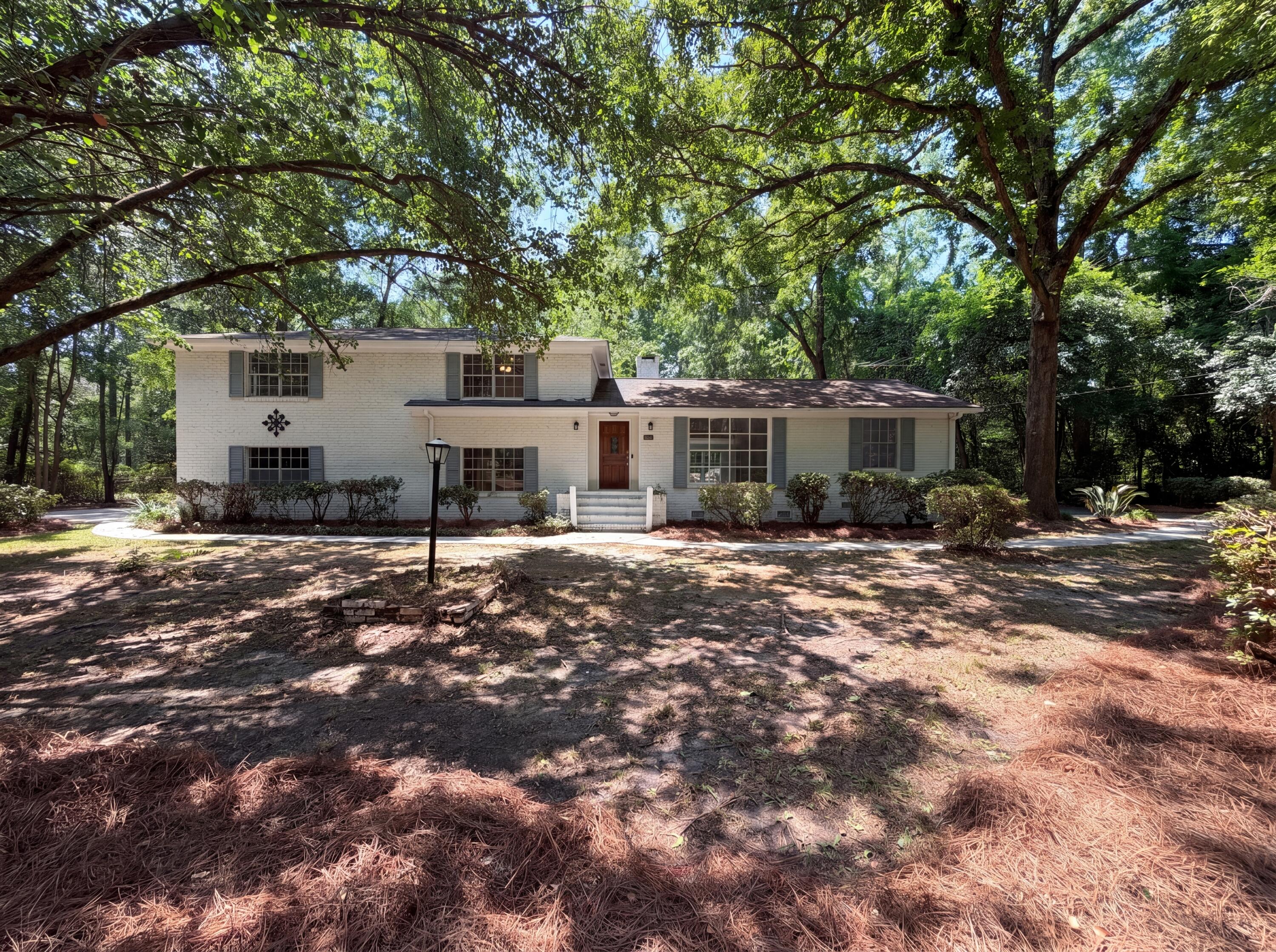101 Picadilly Loop — photo