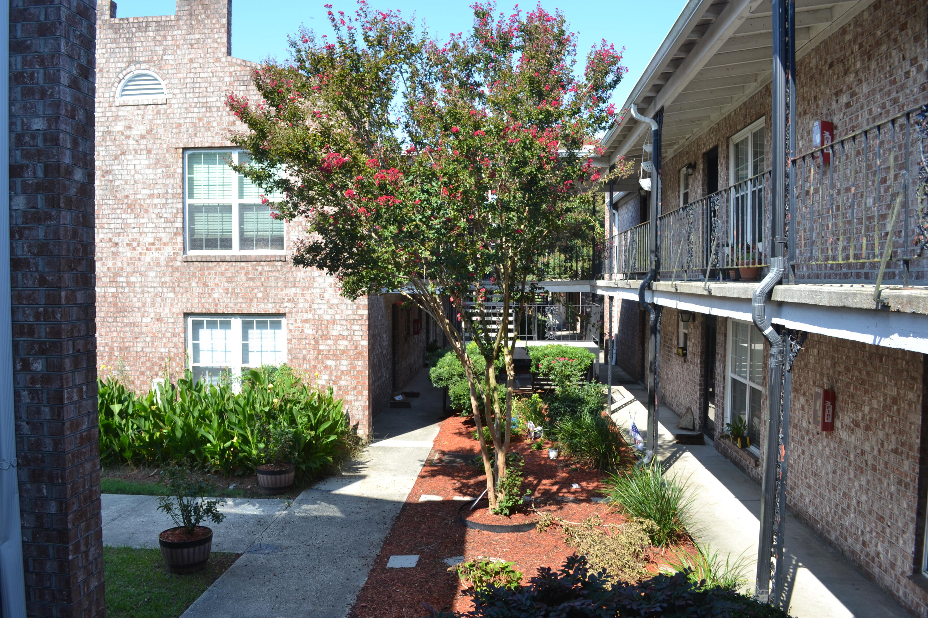 867 Colony Drive F-117 — photo