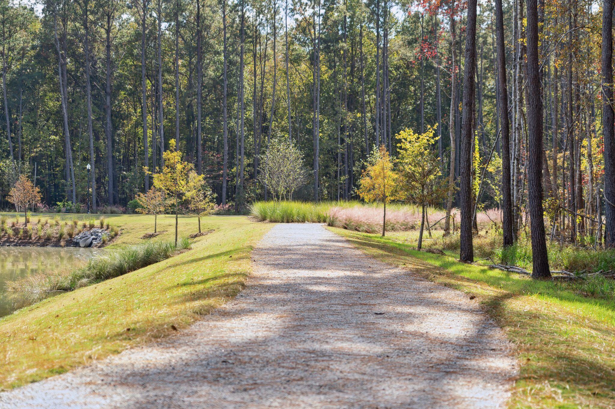 1122 Razor Clam Way, Summerville, SC 29485 — photo 3