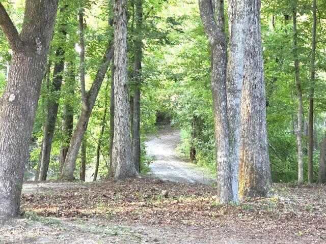 9792 Old Number Six Highway — photo
