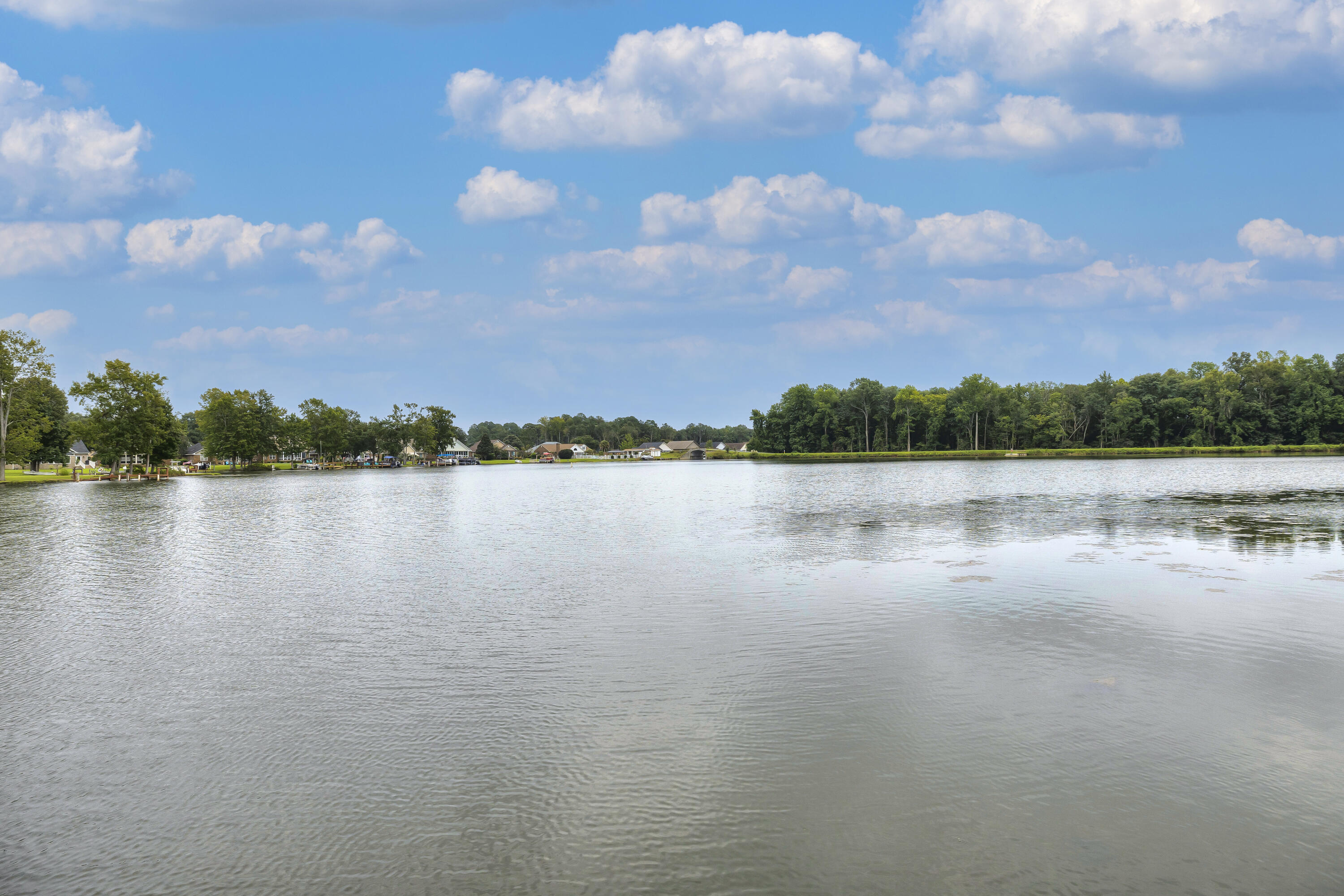 209 Ridge Lake Drive, Manning, SC 29102 — photo 3
