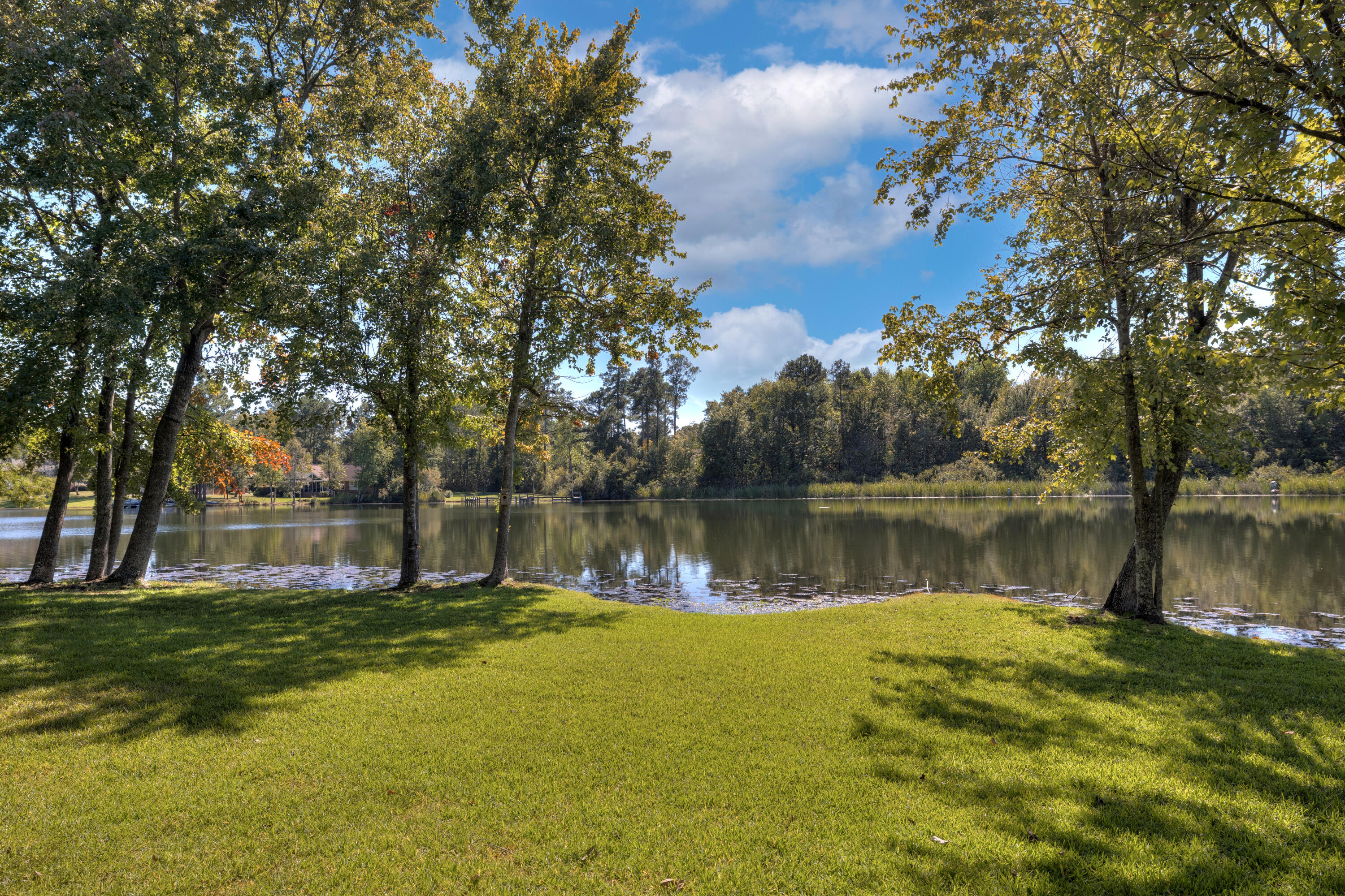 225 Ridge Lake Drive, Manning, SC 29102 — photo 3