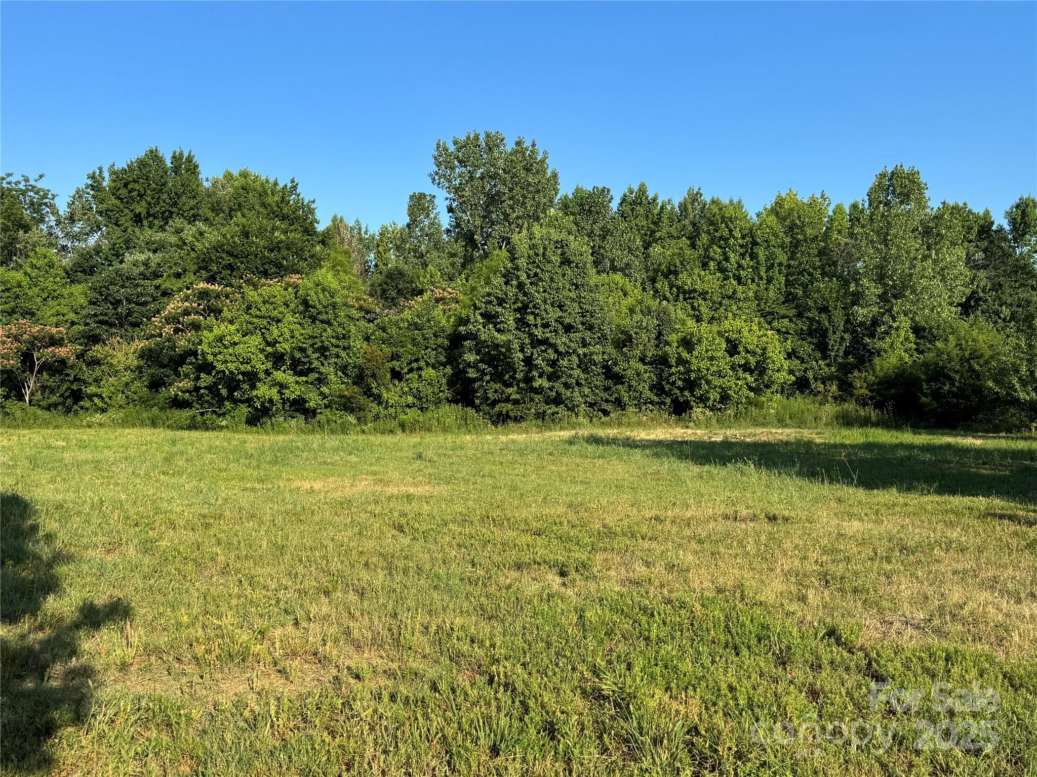 2842 Gray Fox Road — photo
