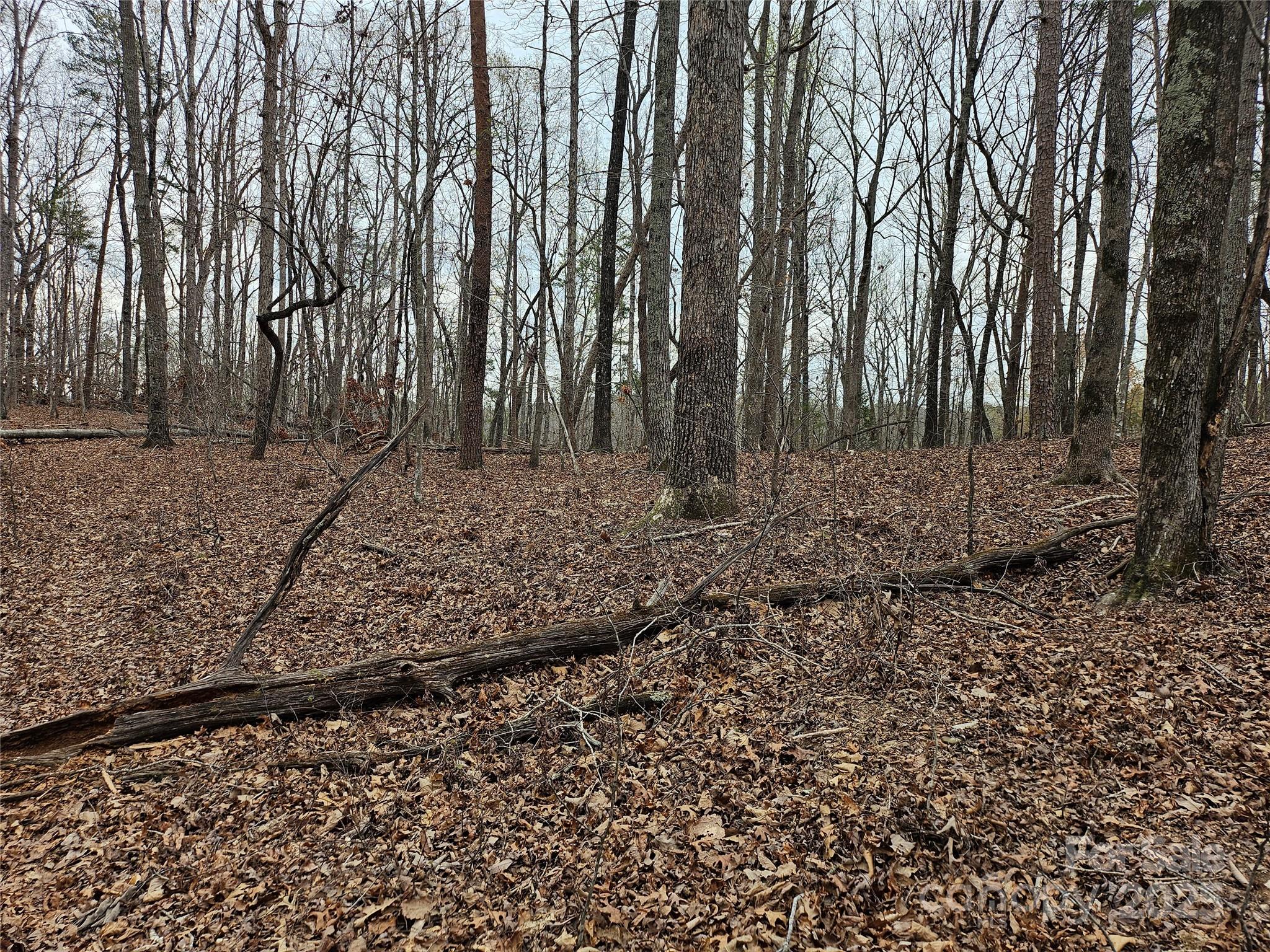 000 Weaver Mill Road — photo