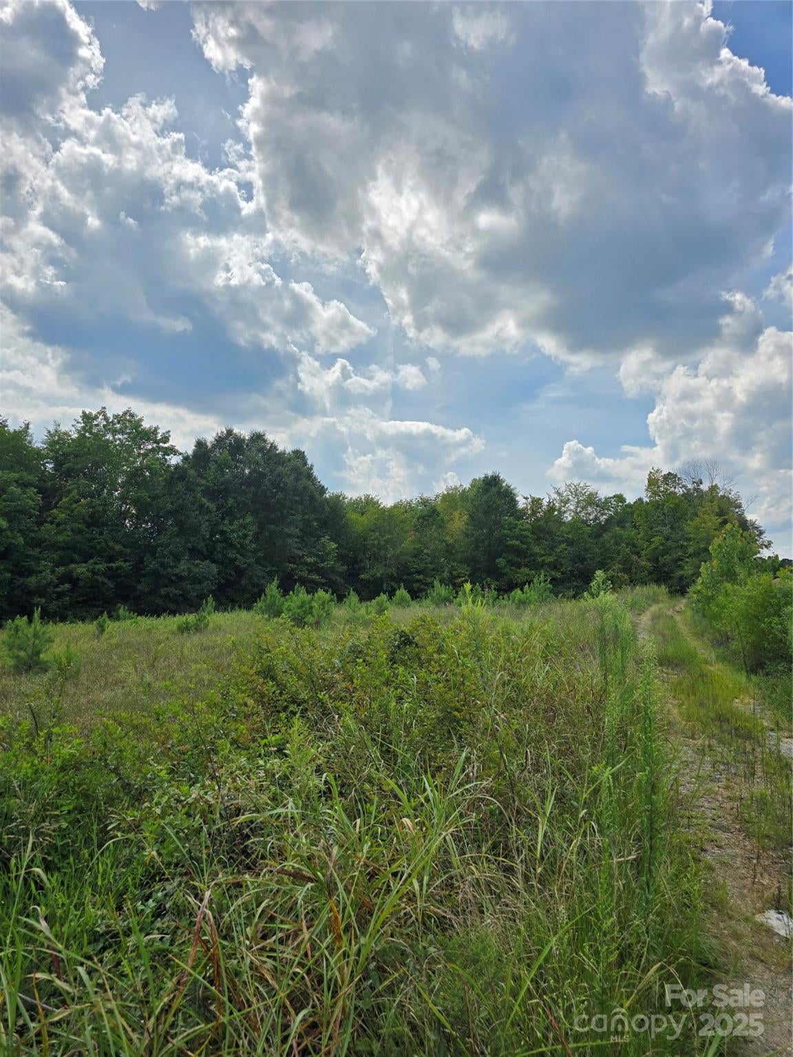 1768 Concord Lake Road — photo
