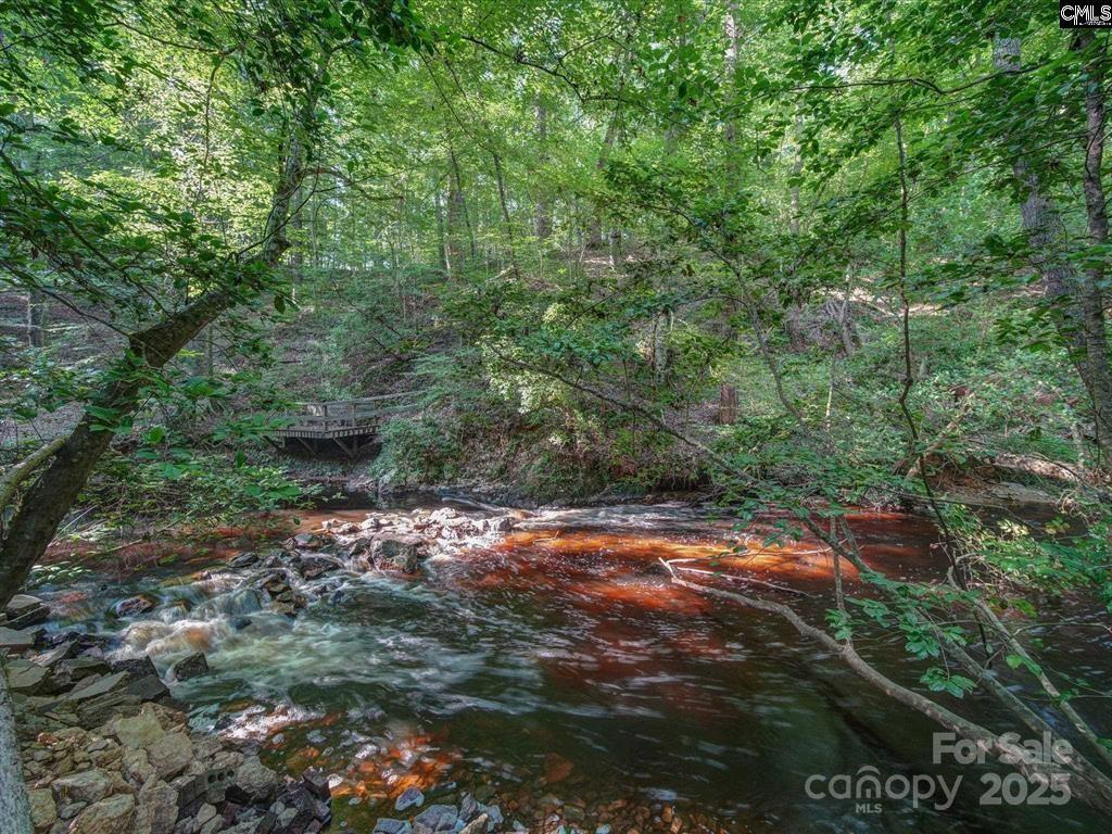 1239 John G Richards Road — photo
