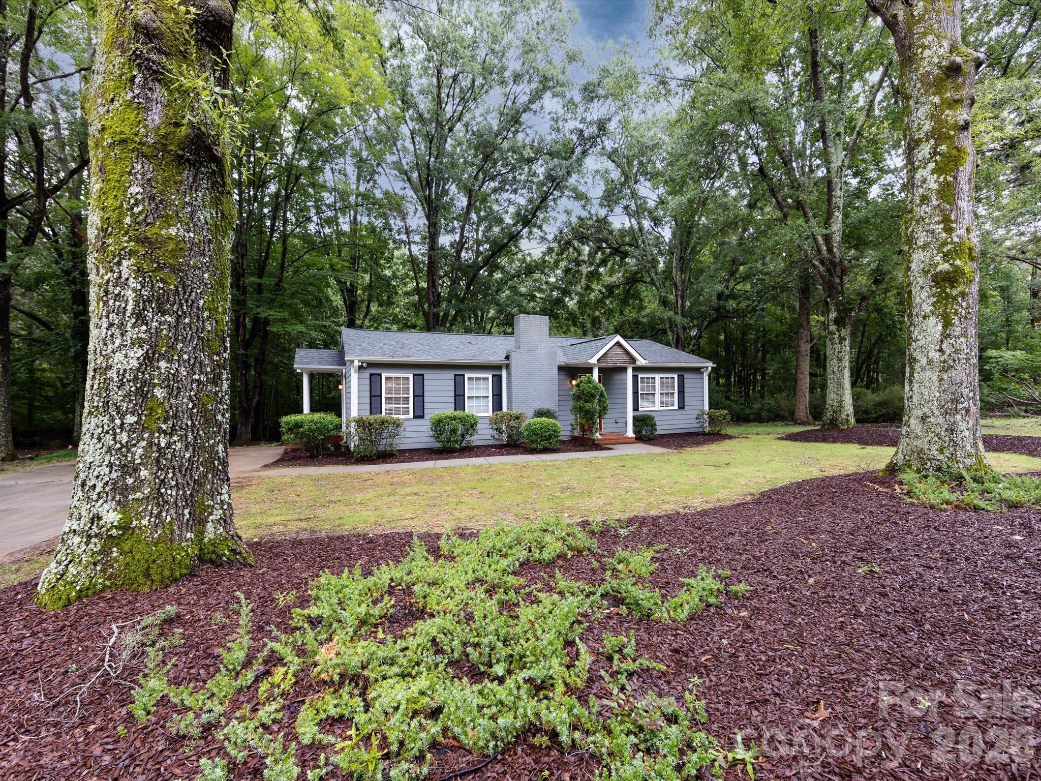 3109 Forest Lawn Drive — photo