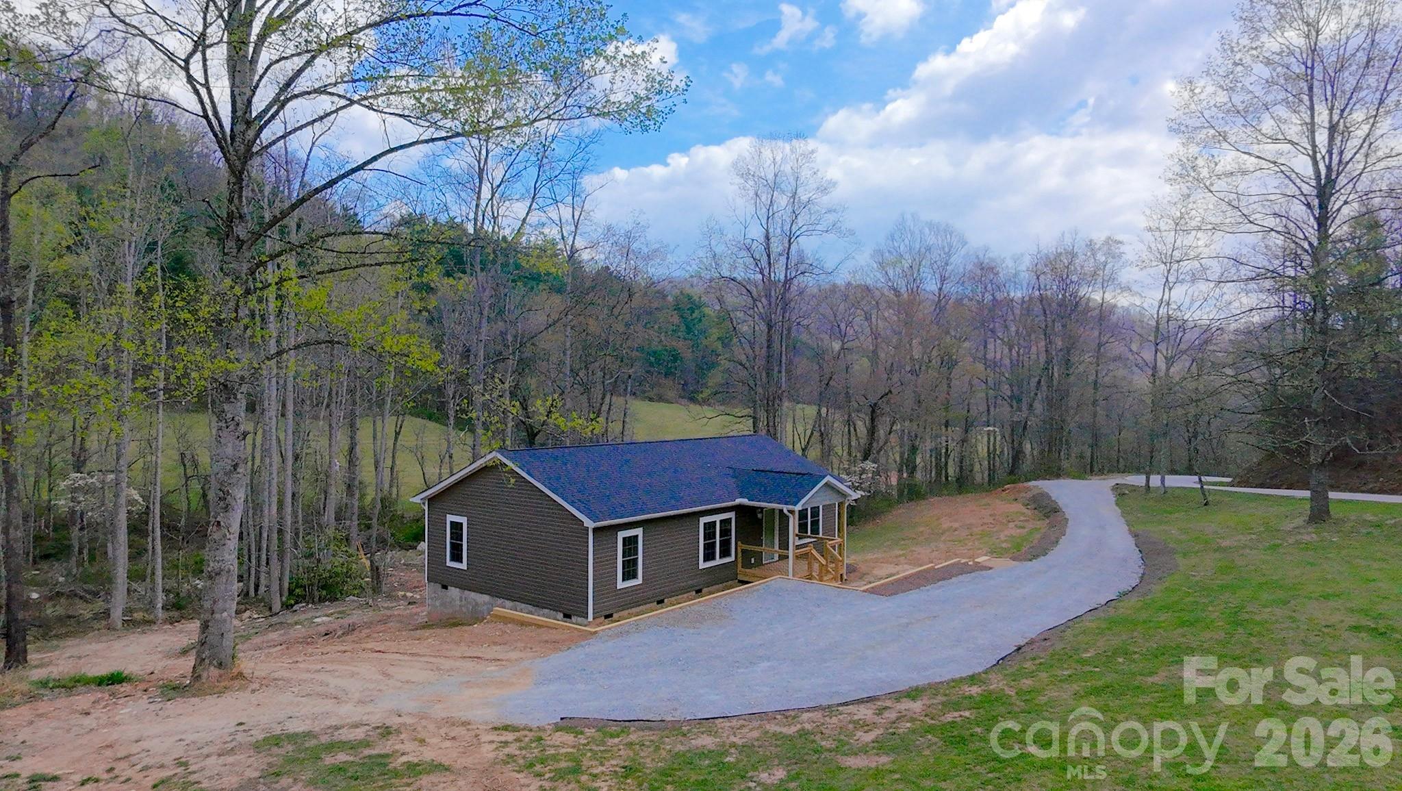 784 Bearwallow Mountain Road — photo