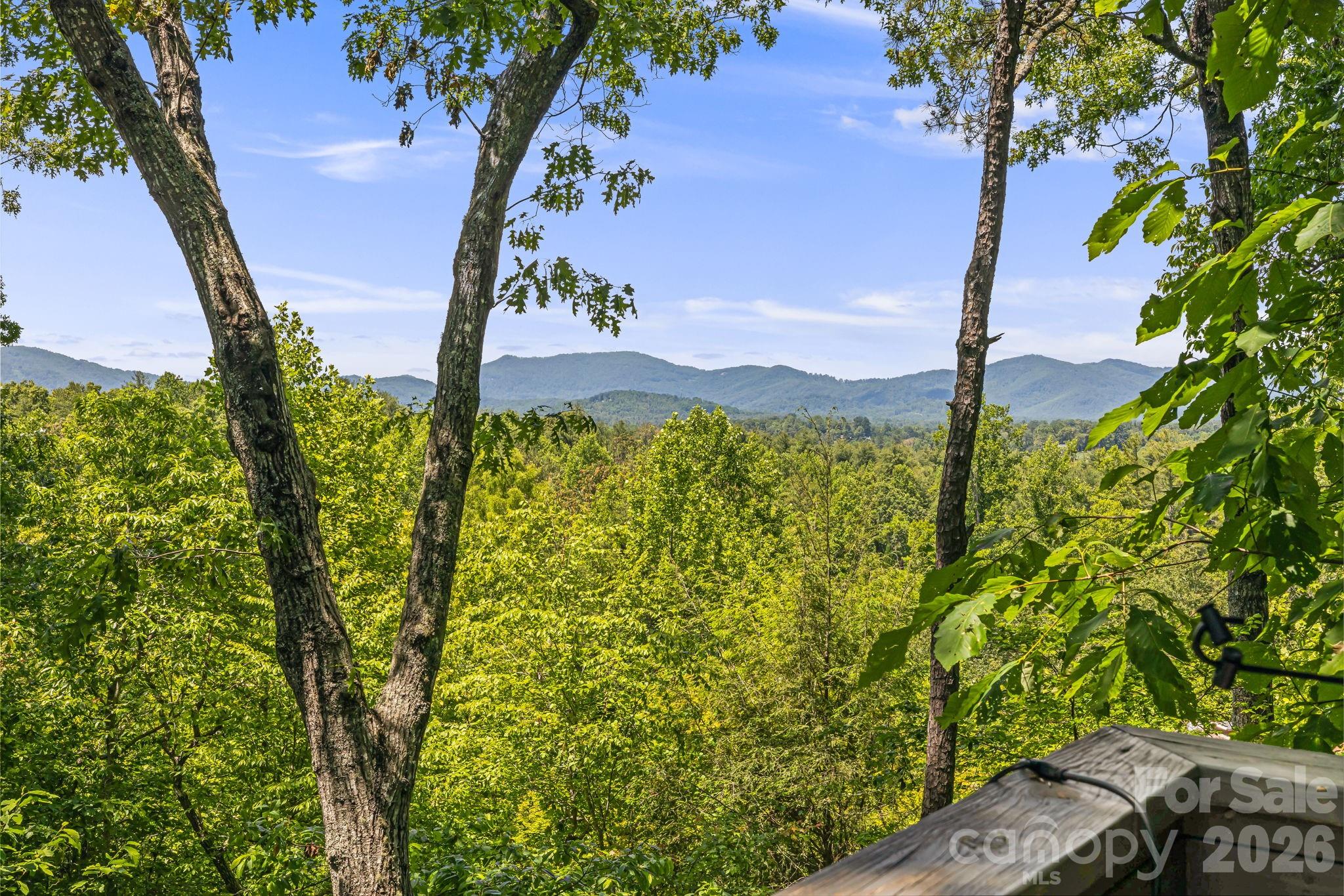 5 Saddle Ridge — photo