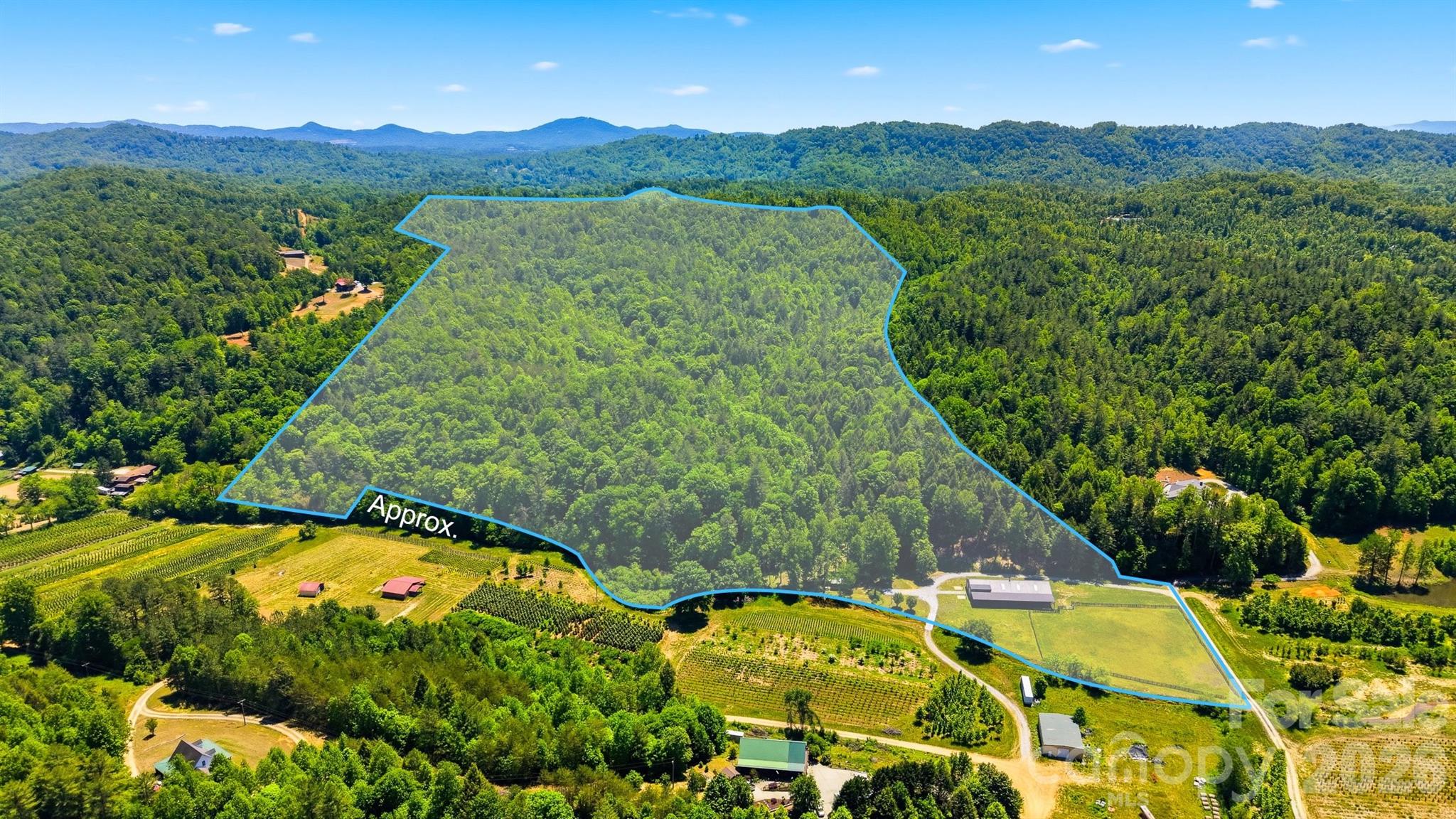81 +/- Acres 2967 Roby Martin Road — photo