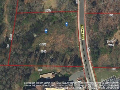 0 Leonard Avenue — photo