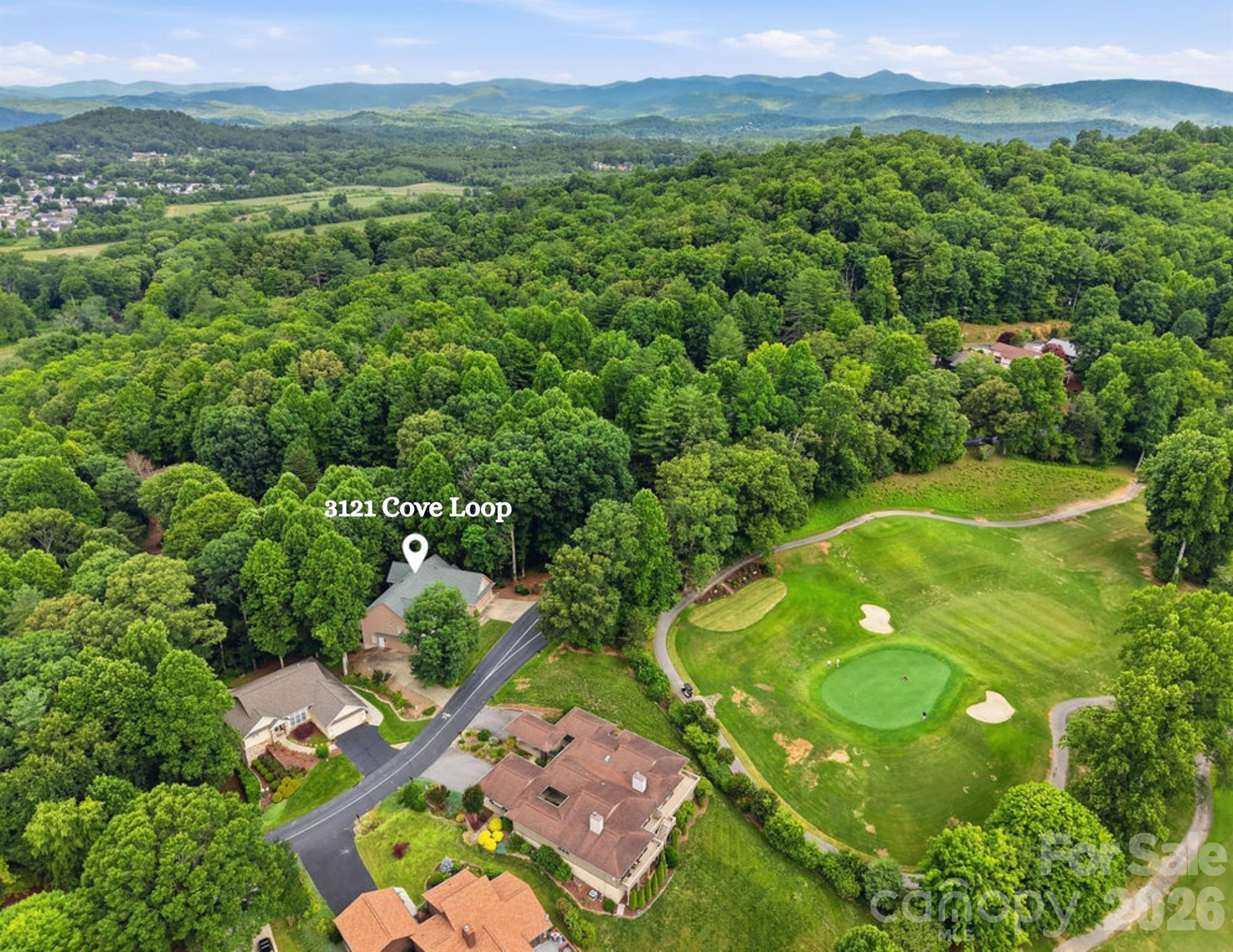 3121 Cove Loop Road — photo