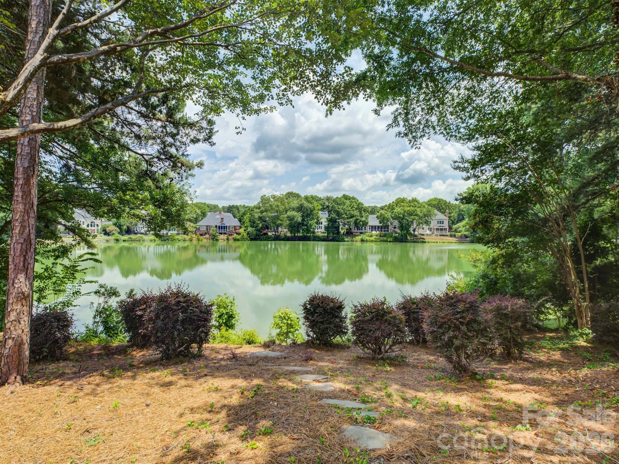 10119 Victoria Mill Court — photo