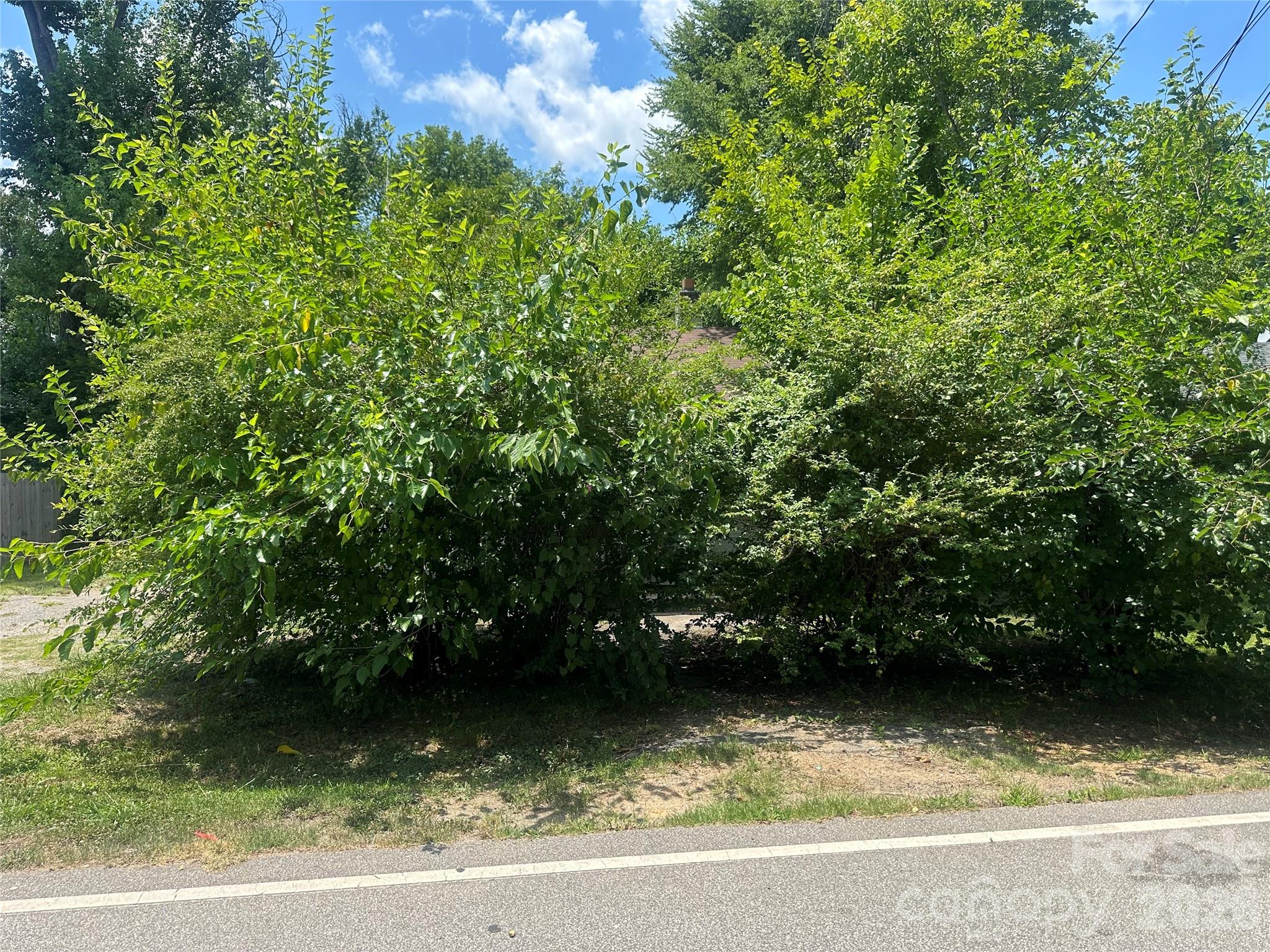 238 Cornelius Drive — photo