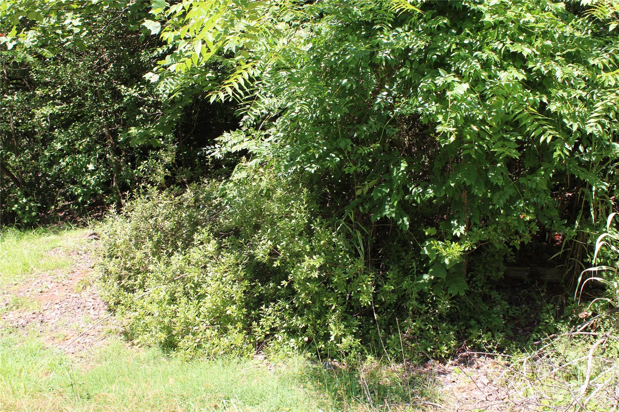 3041 Bills Creek Road — photo