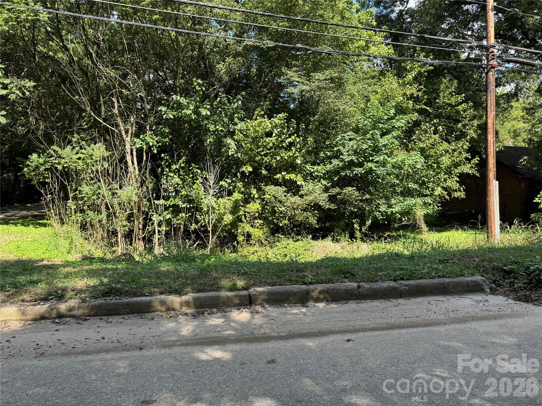 .99 Acres Hwy 321 ByPass — photo