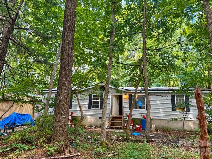169 Bob Cat Spur Lane — photo