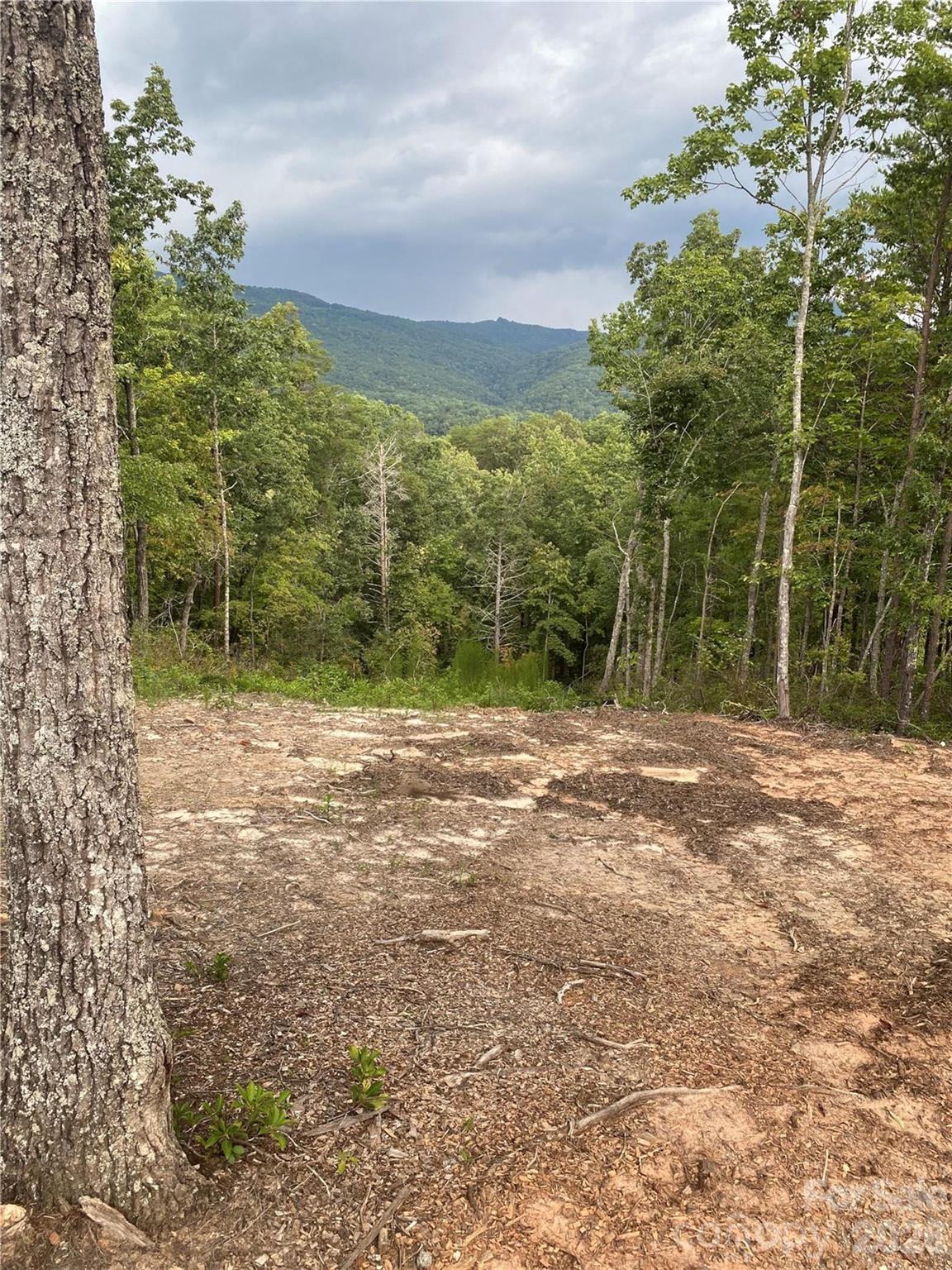 1 Jackson Ridge Lane, Mill Spring, NC 28756 — photo 2