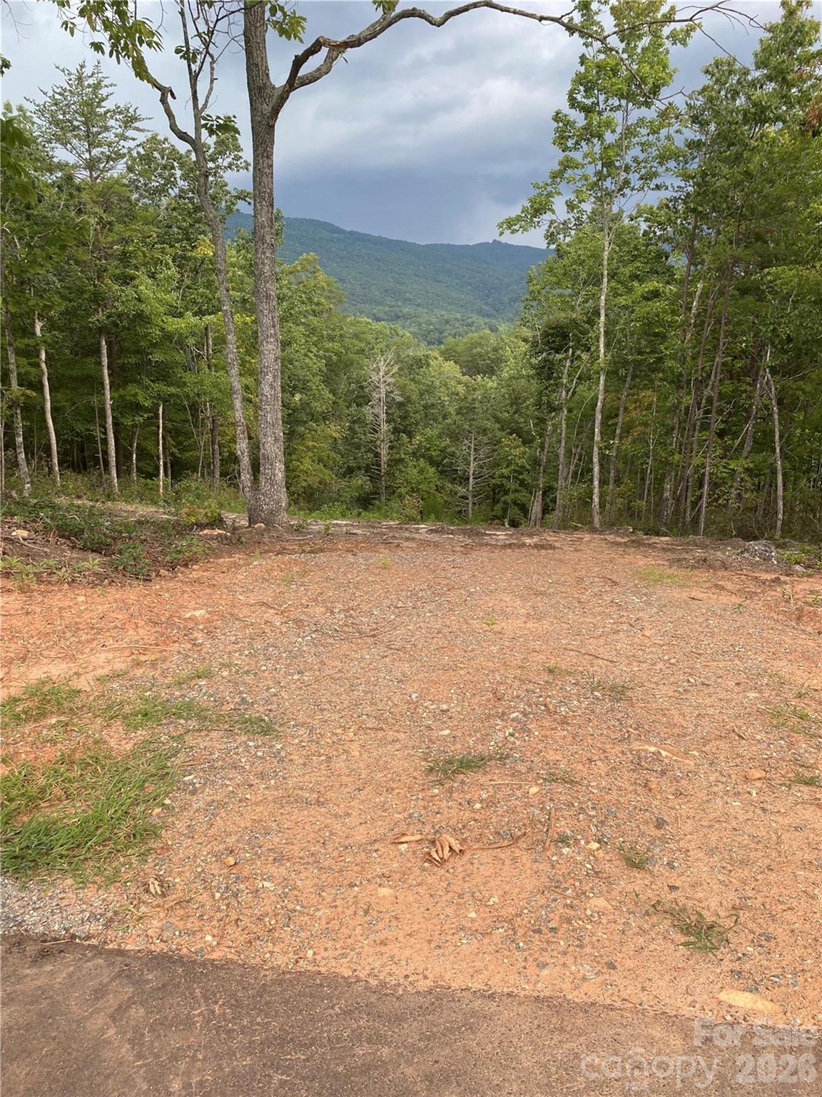 1 Jackson Ridge Lane, Mill Spring, NC 28756 — photo 3