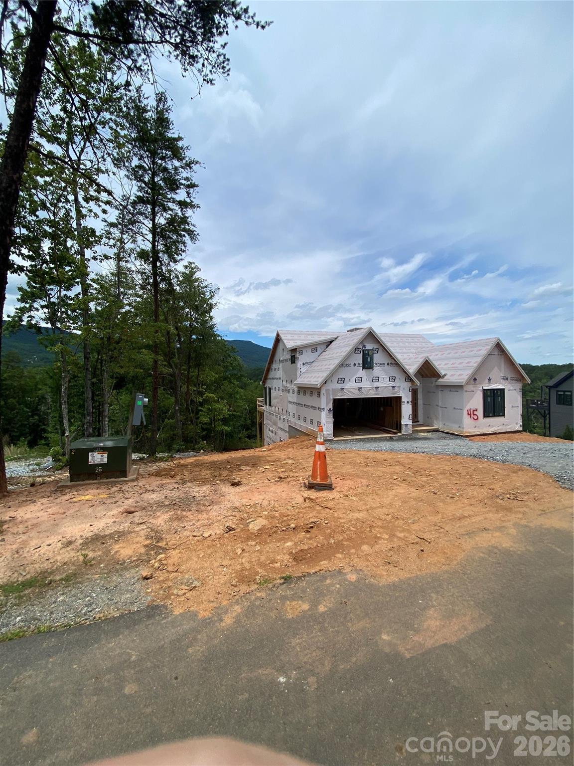 2 Jackson Ridge Lane, Mill Spring, NC 28756 — photo 3