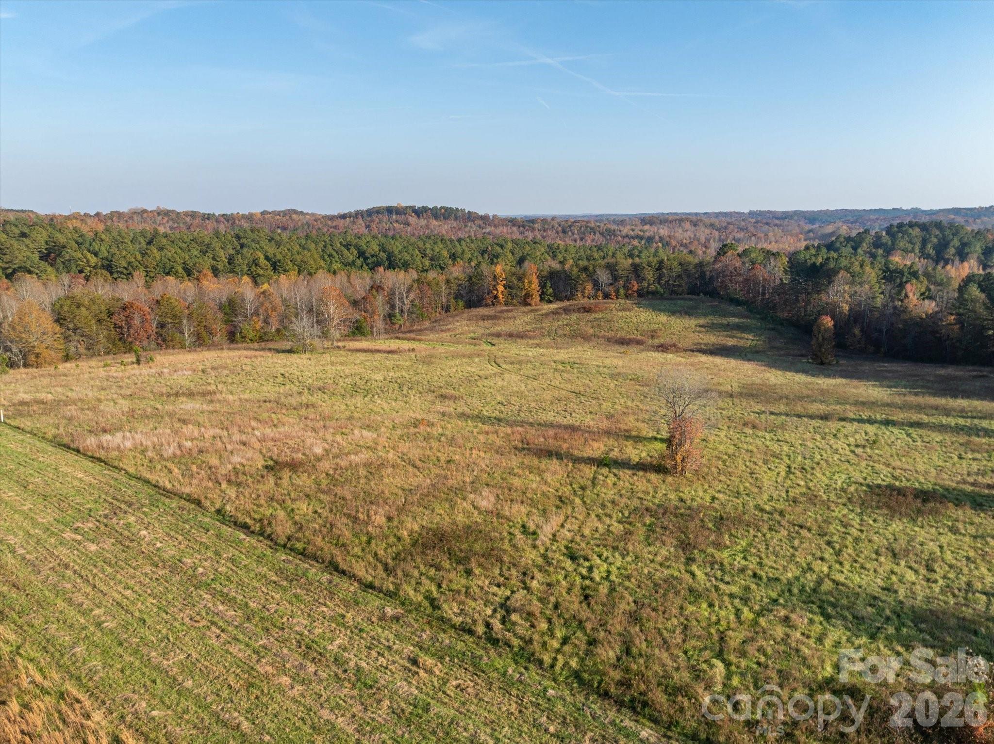 1888 Pea Ridge Road, Mill Spring, NC 28756 — photo 2