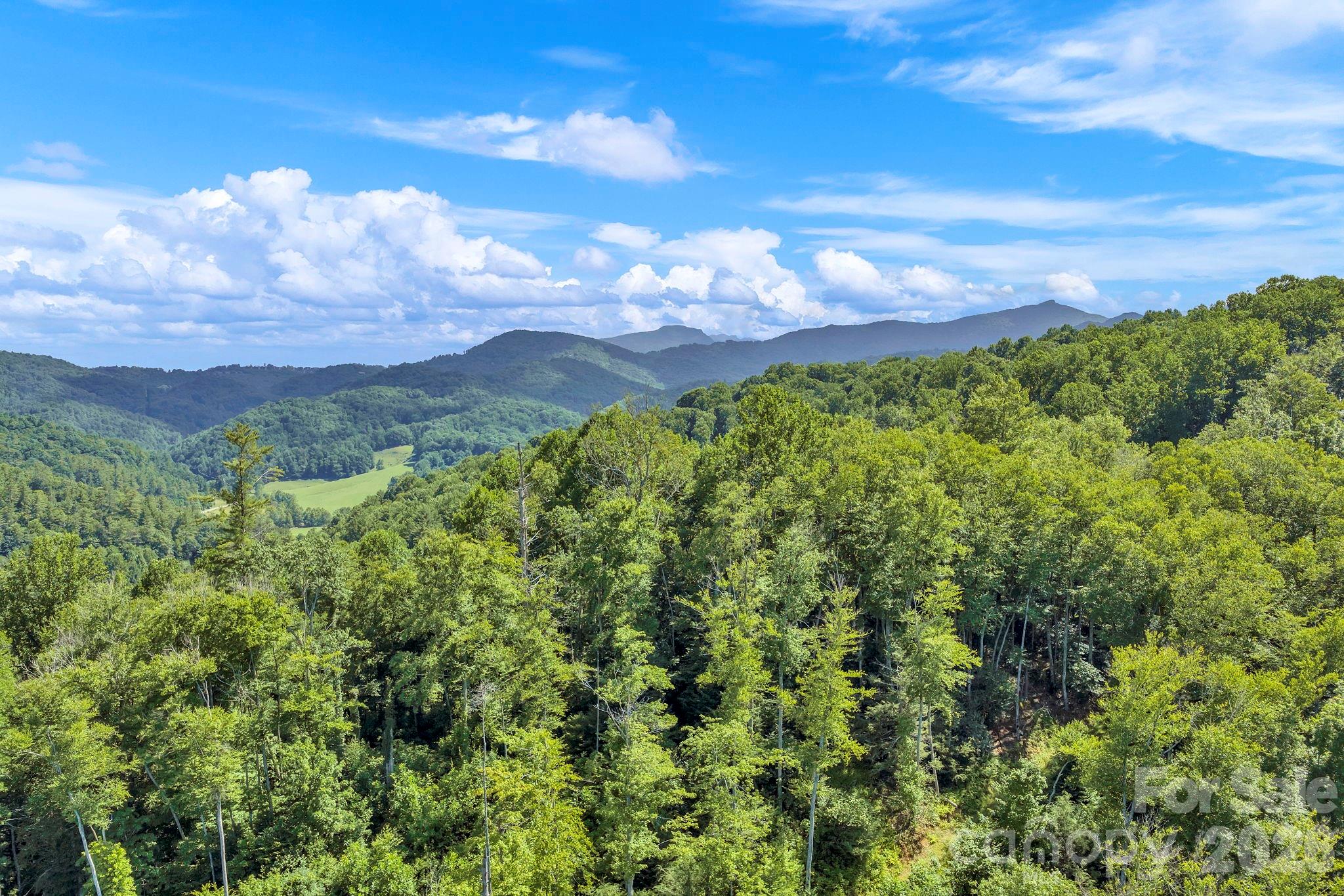 3606 Nc Highway 194 None S — photo