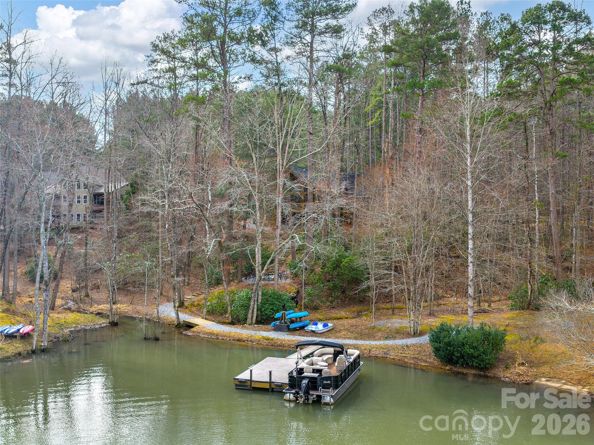 201 Hawk Ridge Drive, Mill Spring, NC 28756 — photo 2