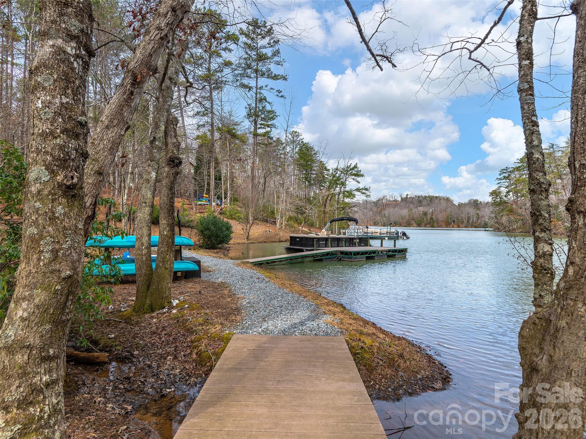 201 Hawk Ridge Drive, Mill Spring, NC 28756 — photo 3