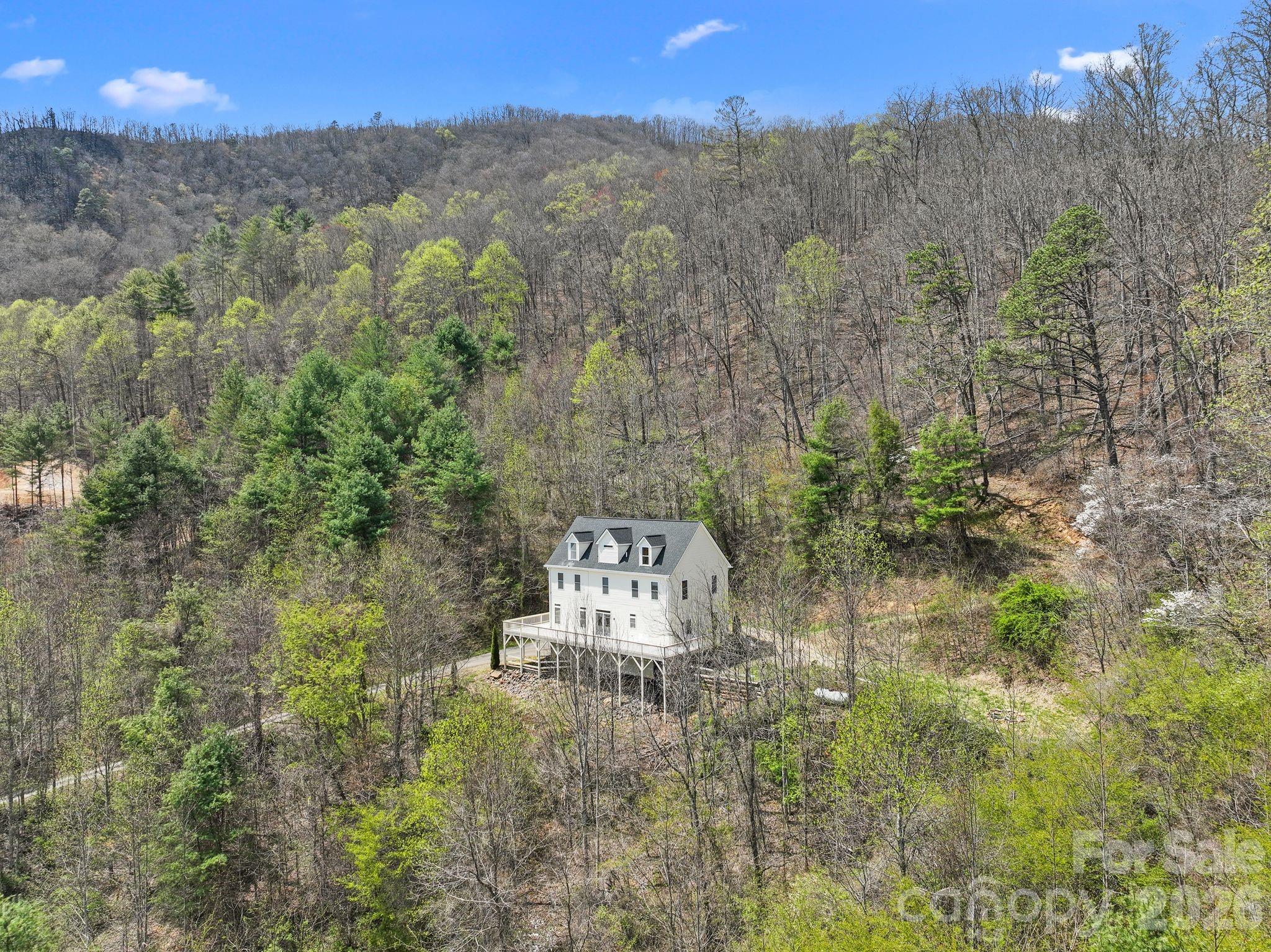 267 Eagles Trace, Canton, NC 28716 — photo 3