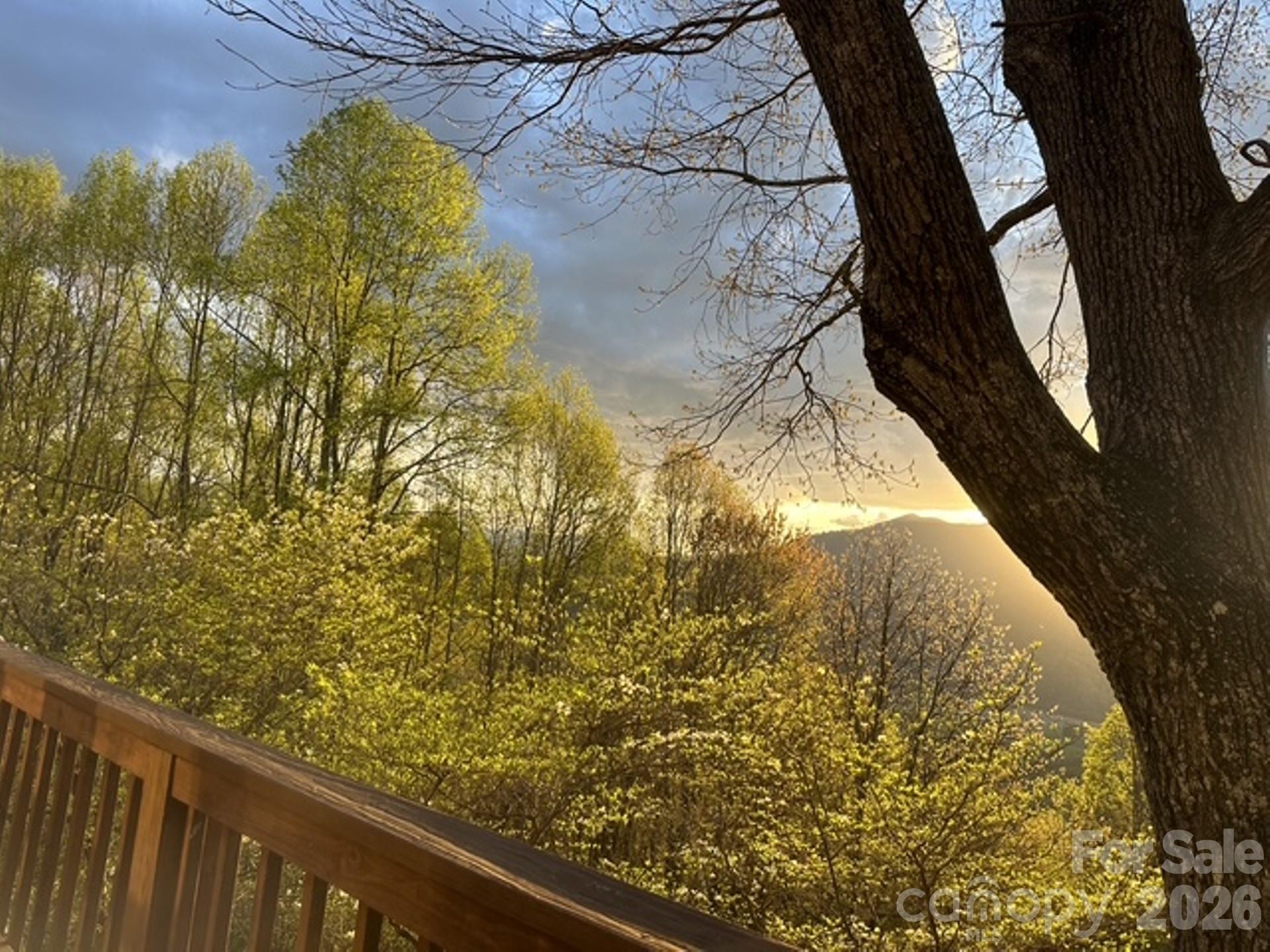 415 Treetop Lane — photo