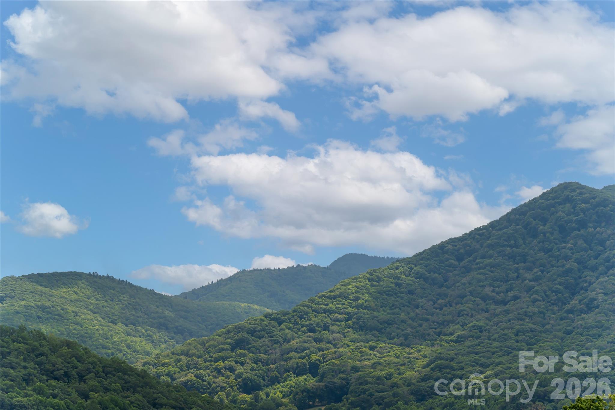 649 Panoramic Loop, Maggie Valley, NC 28751 — photo 3