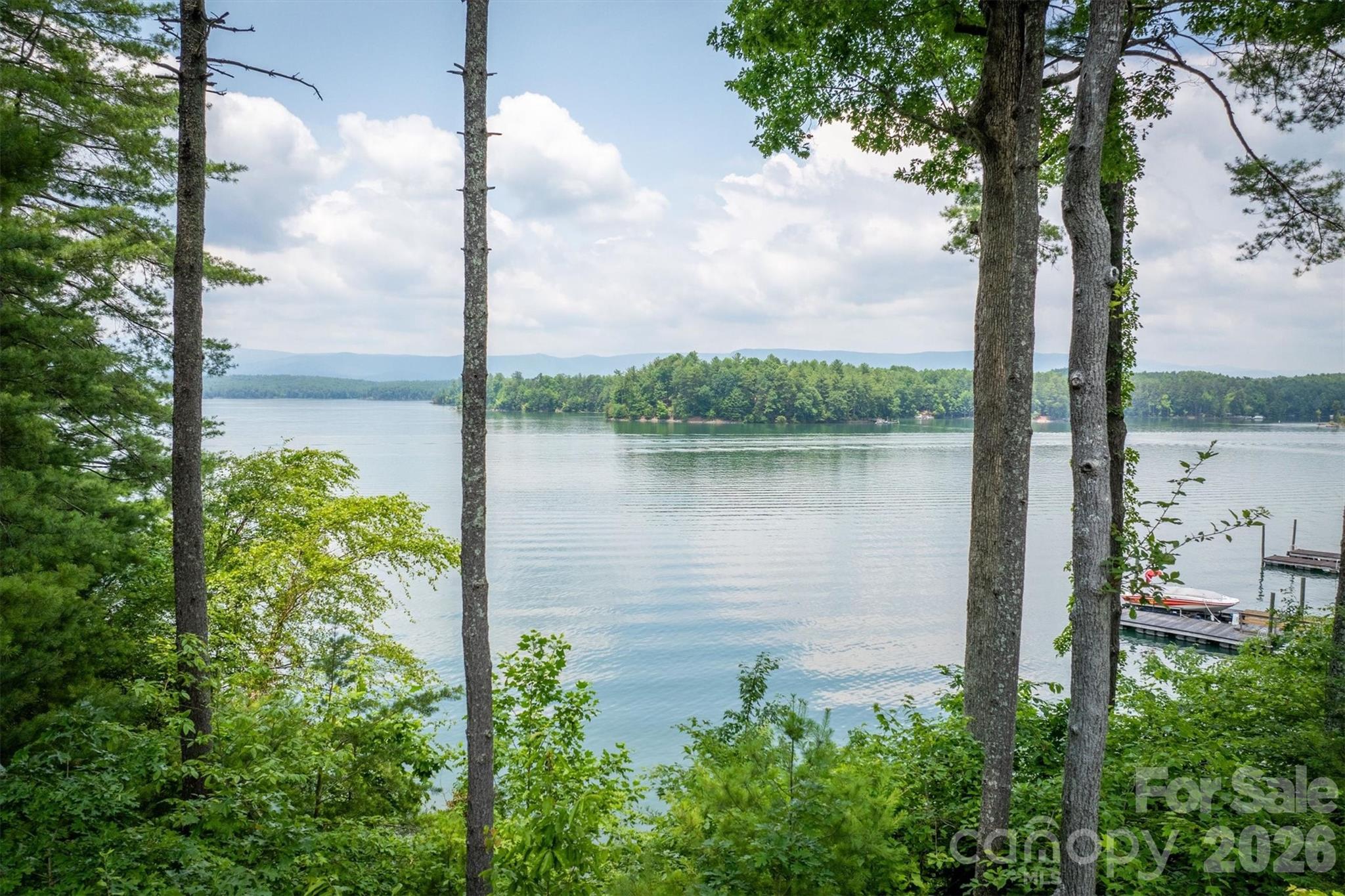 5162 Beech Bluff Drive — photo
