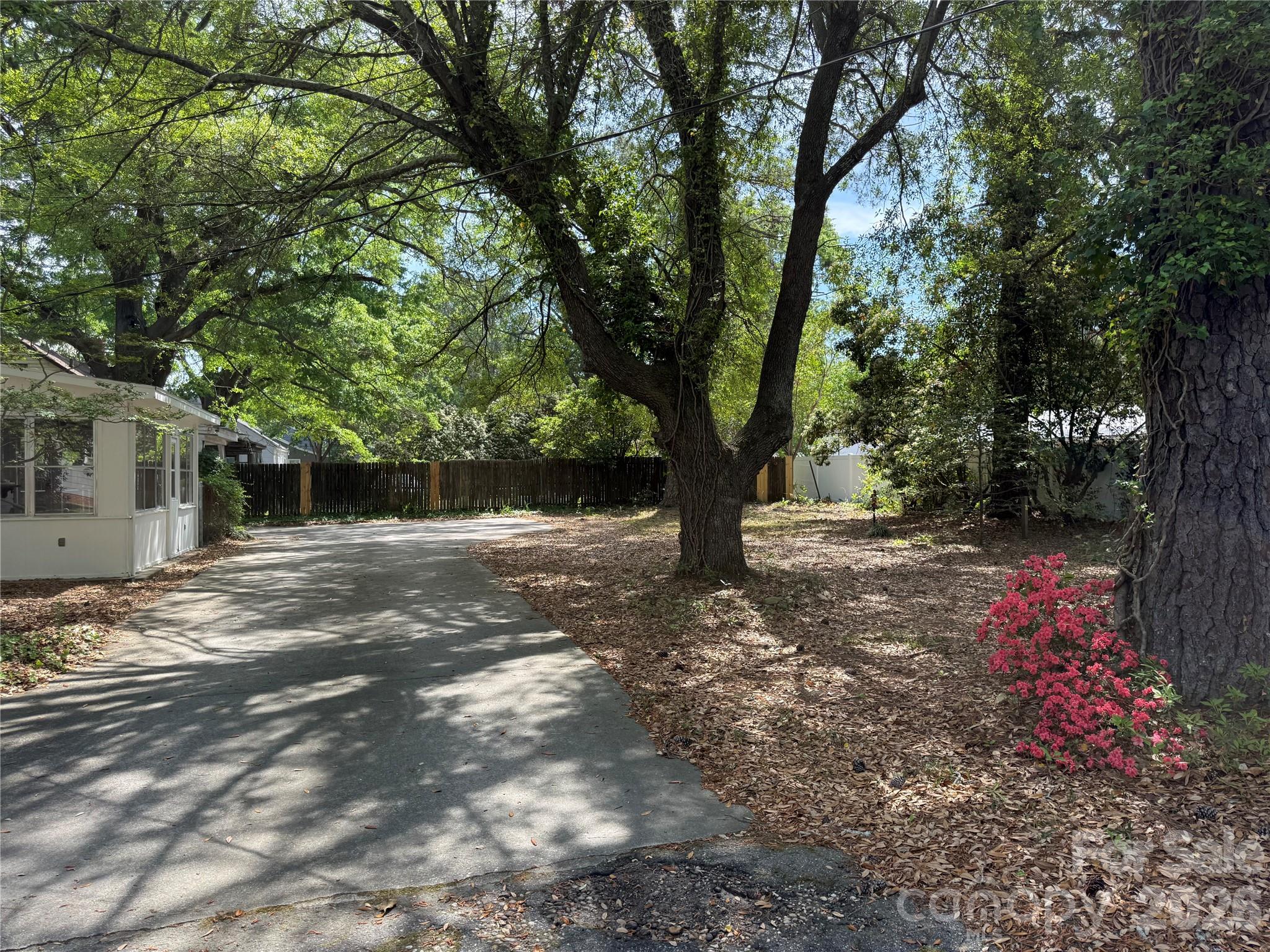 119 Patsy Lane, Cheraw, SC 29520 — photo 3