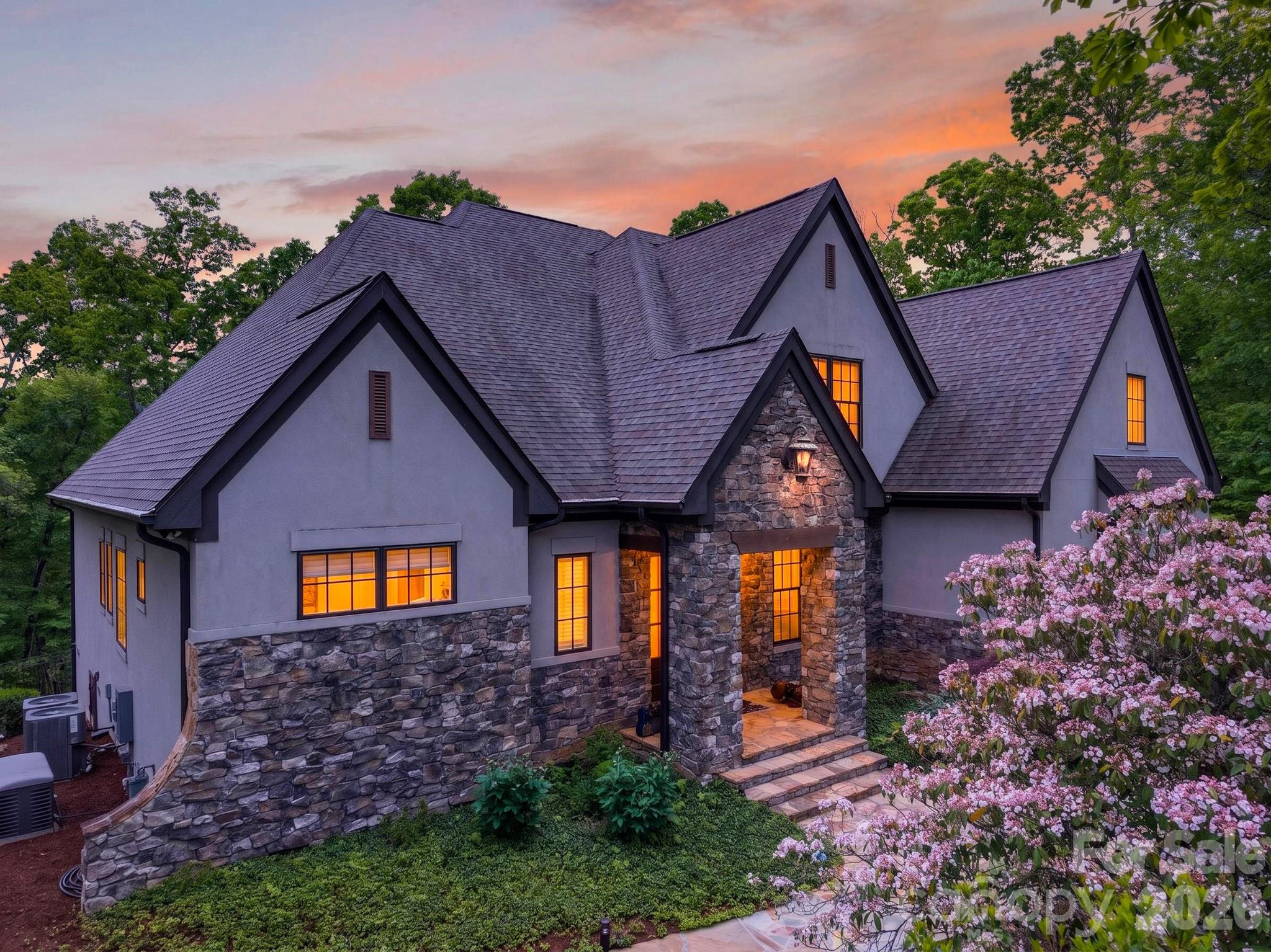 671 Mills River Way — photo