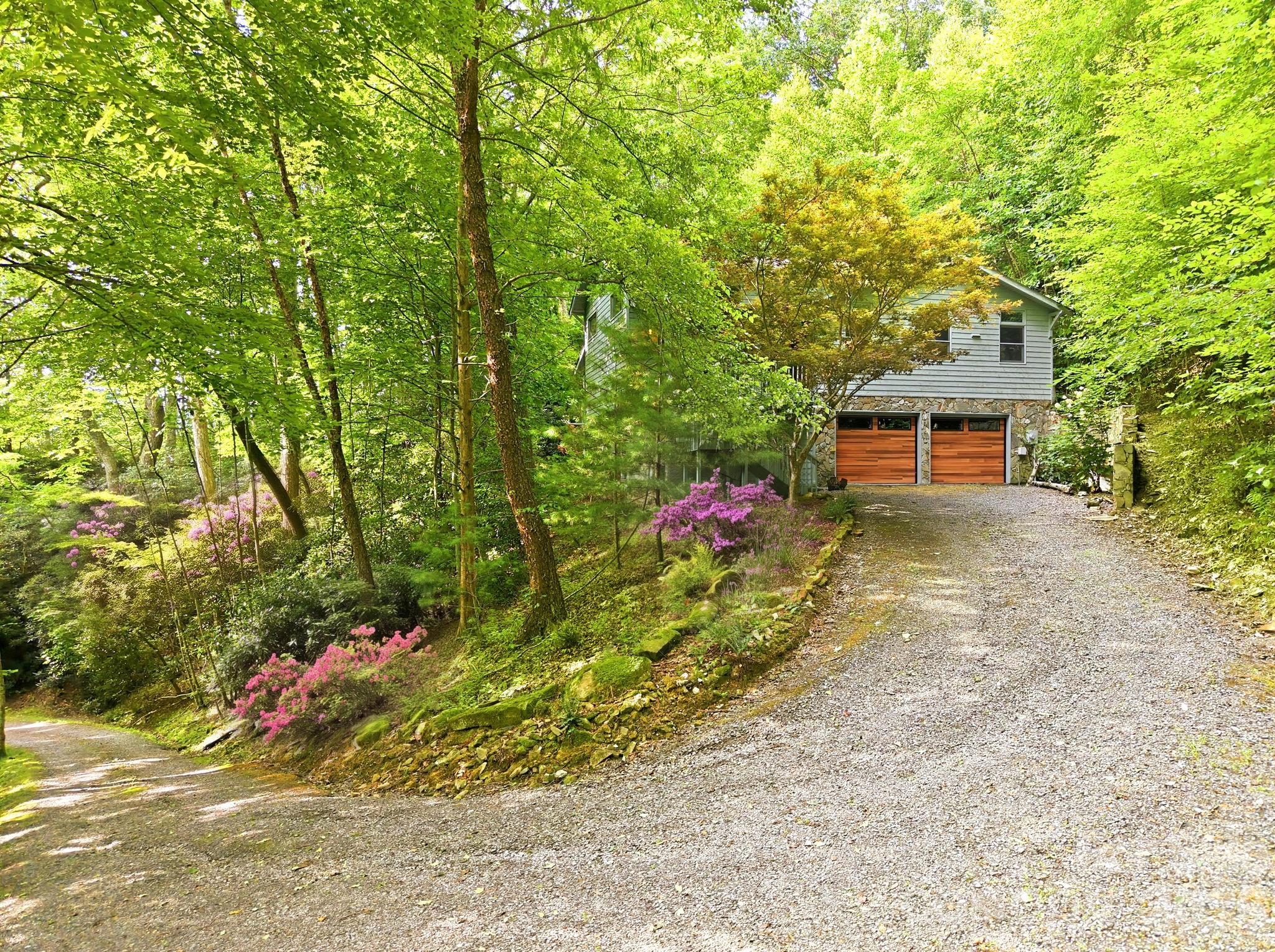 63 Chestnut Forest Road — photo
