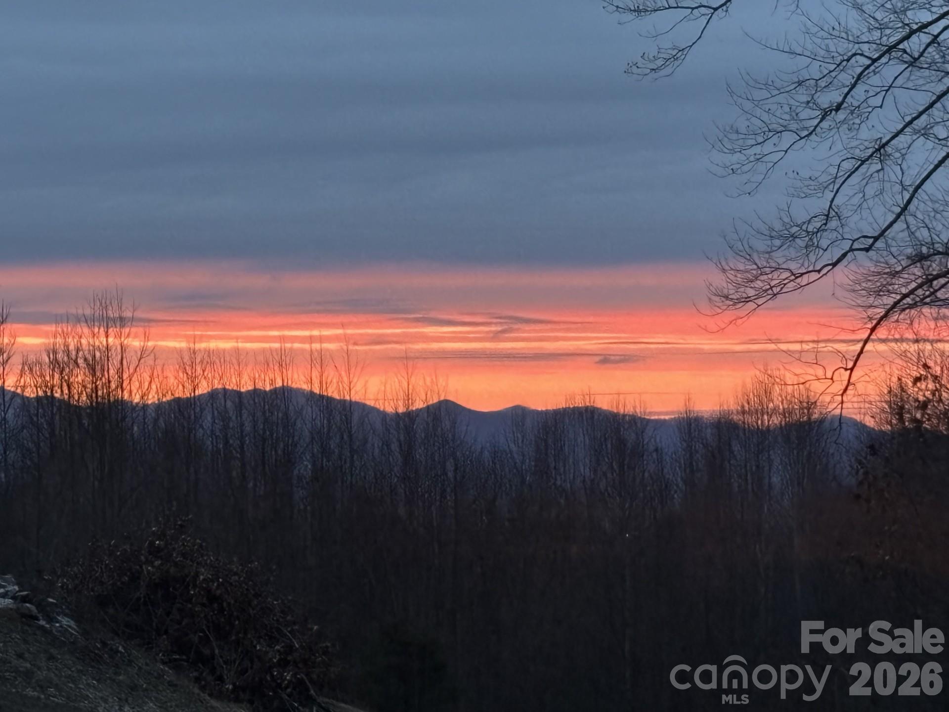 67 Reeses Ridge Court, Hendersonville, NC 28739 — photo 3