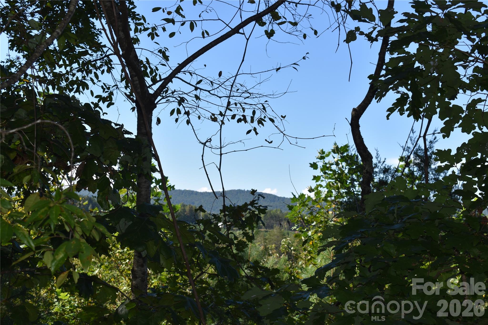 120 Woodmont Drive — photo
