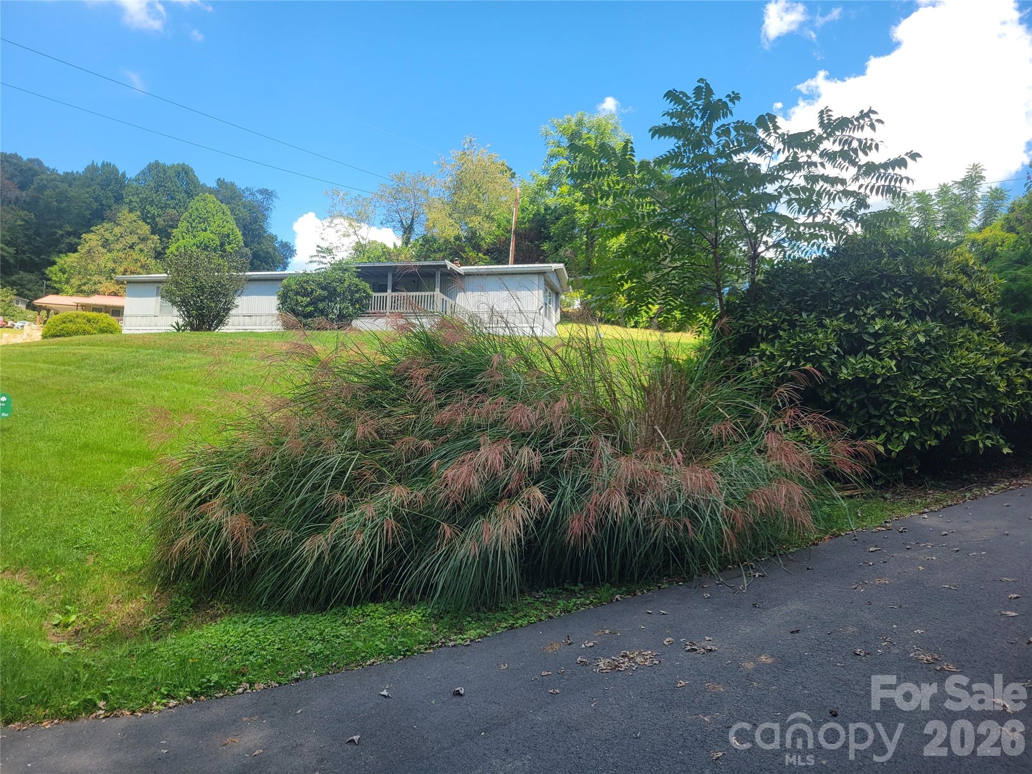 204 Kudzu Loop — photo