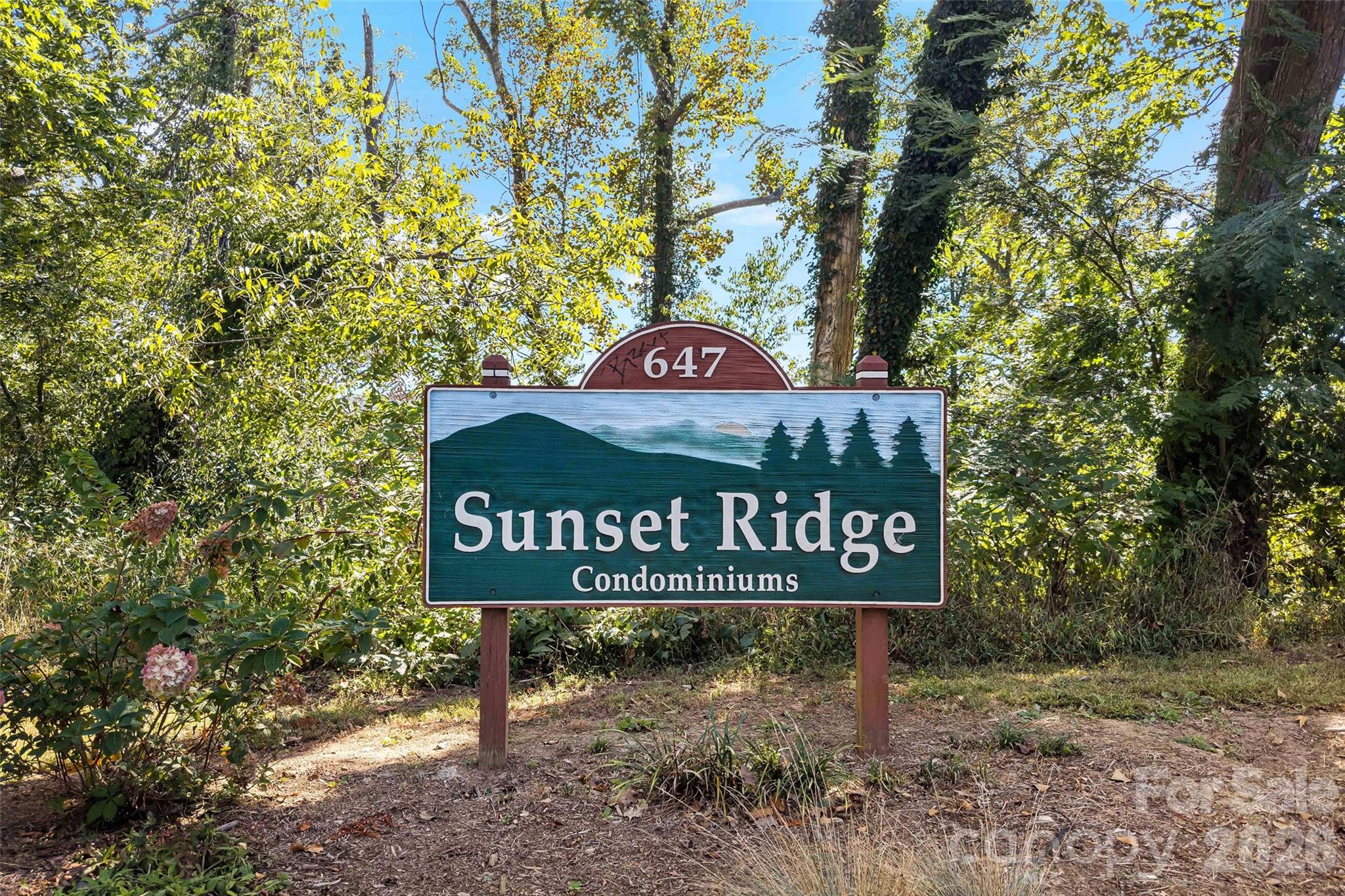 647 Town Mountain Road 407 — photo