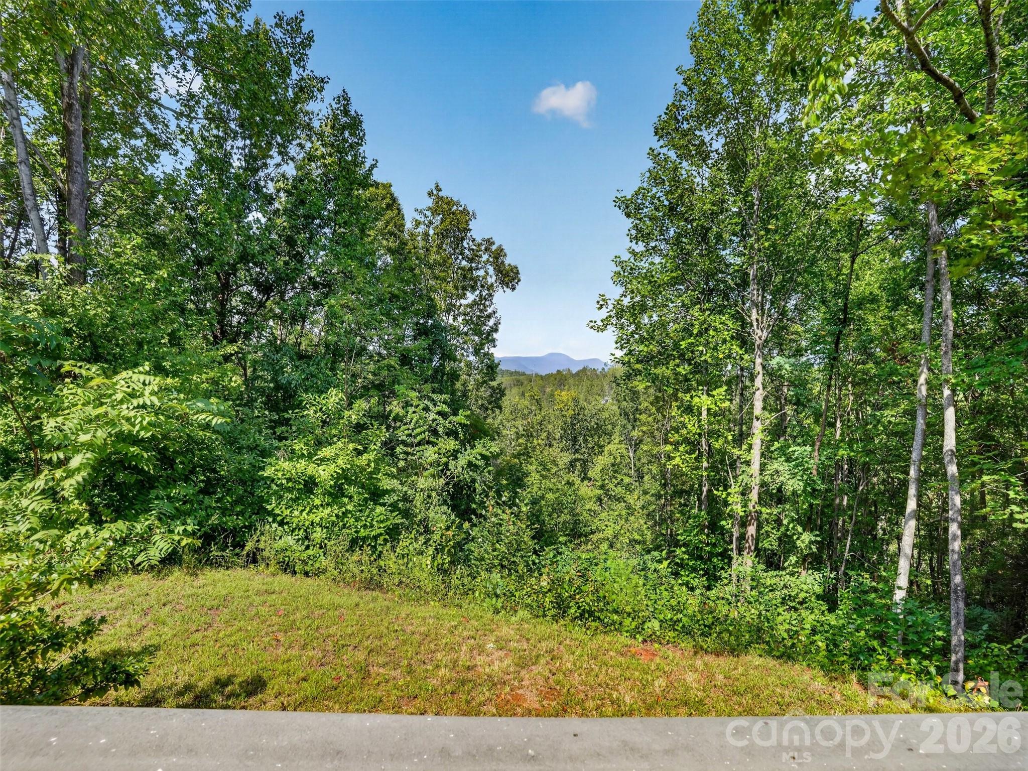 484 Briar Patch Lane, Saluda, NC 28773 — photo 2