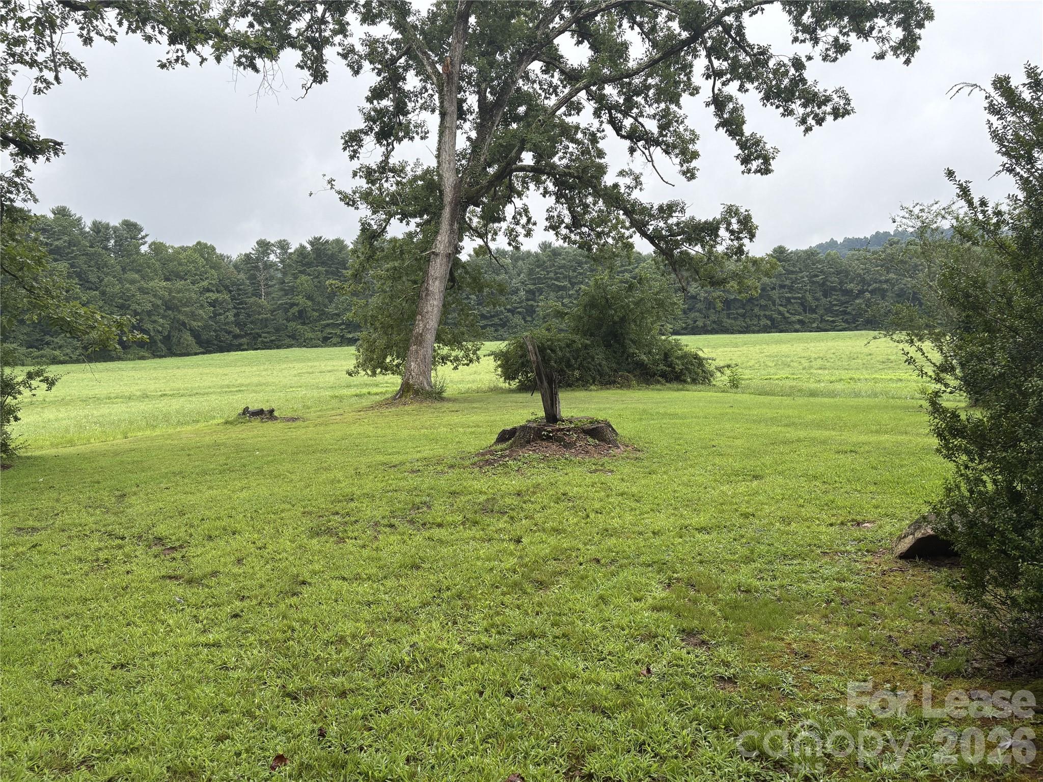 14 E Boxwood Loop, Flat Rock, NC 28731 — photo 3
