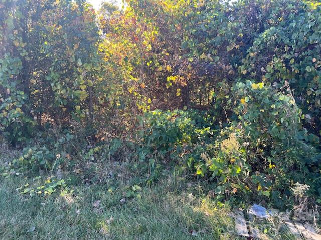 1534 Filbert Highway — photo