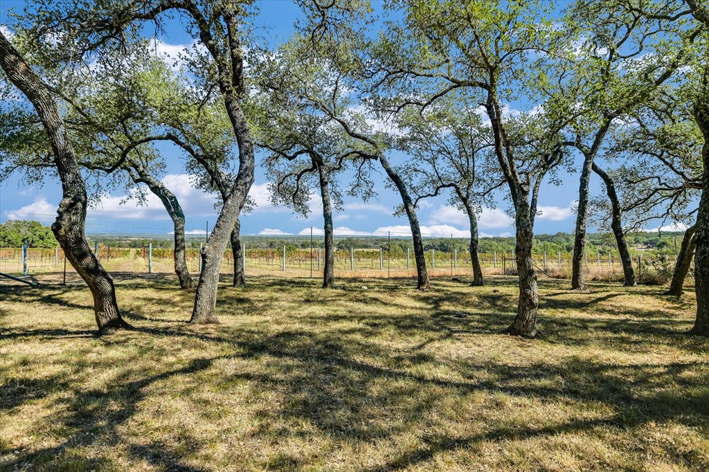878 Ranch Rd 2766, Johnson City, TX 78636 — photo 3