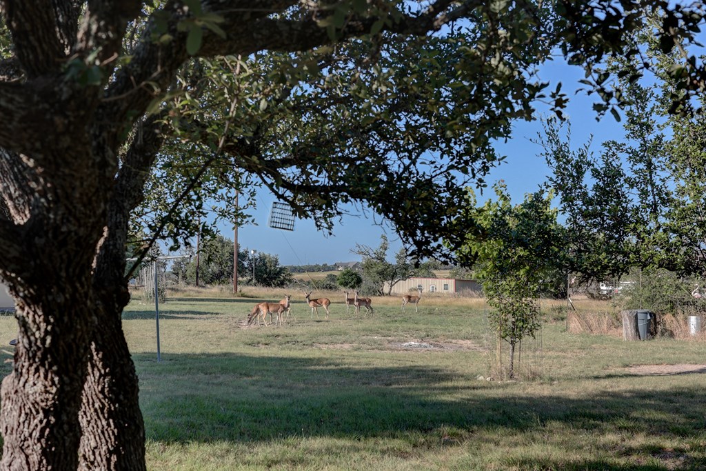 680 Windmill Ridge, Harper, TX 78631 — photo 2