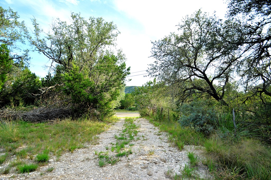 22874 Ranch Rd 385, Harper, TX 78631 — photo 2